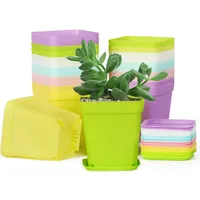 Gebetter 24 Stück 6 Farben Anzuchttöpfe 7x7x8cm mit Untersetzer
