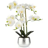 ABELLA Flora künstliche Orchidee Realtouch-Effekt Keramiktopf Höhe 60cm