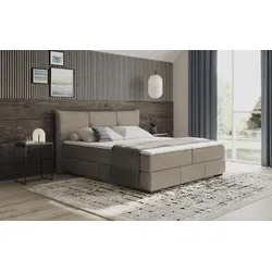 Boxbett INOSIGN "Brewdley mit Bettkasten, inkl. Matratze", grau (dolce 4 taupe), B:205cm L:215cm, Komplettbetten, Topper und Zierkissen, in verschiedenen Härtegraden verfügbar