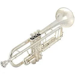 B&S 3137/2 PCL Philip Cobb Challenger Special Custom B-Trompete - Perinettrompete