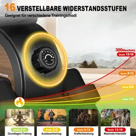 orisyn Rudergerät schwarz