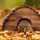 Relaxdays Igelhaus, geflammtes Holz, Igelhotel Boden, katzensicher, Winterquartier Igel, Garten, HBT: 25x40x30 cm, braun