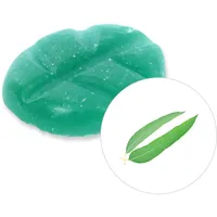 Scentchips® Wachsmelts Eukalyptus – Duftwachs Duftchips – Hausparfum – Geeignet für Duftlampe & Wachsbrenner – 13 Stück