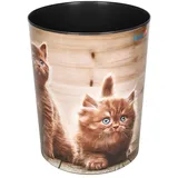 Läufer 13 l Mehrfarbig