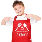 Livdouyu Kochschürze Kinder, Kinderschürze, Schürze Kinder, Jungen Schürze mit 2 Taschen, Mädchen Schürzen zum Kochen, Malen, Küchenchef Schürze für Kinder 3-12 Jahre