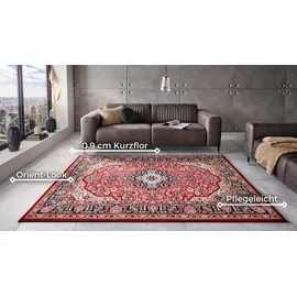 HANSE HOME Nouristan Orientalischer Kurzflor Teppich Skazar Isfahan Rot, 120x170cm