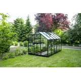 Juliana Popular 106 Alu schwarz Blankglas 3 mm 6,2 m2