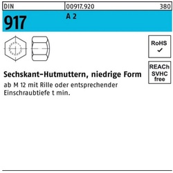 Reyher Hutmutter 250er Pack Sechskanthutmutter DIN 917 niedrige FormM10 SW 17 A 2 250 S