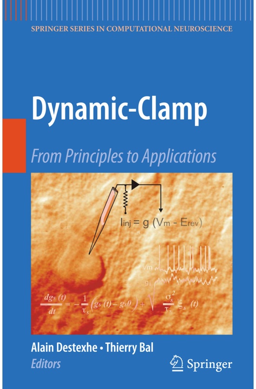 Dynamic-Clamp, Kartoniert (TB)