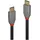 Lindy USB 3.2 Gen2x2 USB-C® Stecker, USB-C® Stecker 1.00 m
