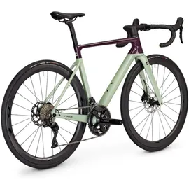 Focus Izalco Max 8.8 2024 28 Zoll RH XXL lila