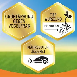 Substral Rasensamen Der Sonnige 1,125 kg für 50 m2