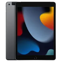 Apple iPad 10,2" (9. Generation 2021) 64 GB Wi-Fi space grau
