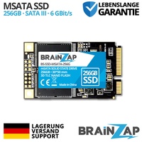 BRAINZAP 256GB mSATA SSD - SATA III 6 GBit/s - Mini SATA - 550MB/s Intern