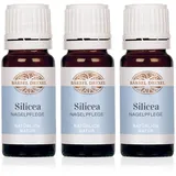 Bärbel Drexel Nagelöl Silicea Nagelaufbauserum 10 ml