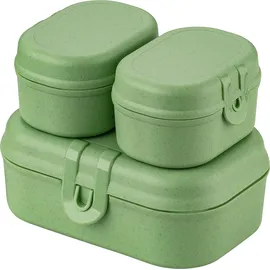 Koziol Pascal Ready Mini nature leaf green
