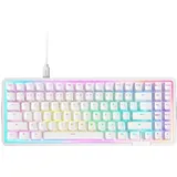 NZXT Function Elite MiniTKL NZXT Magnetic DE