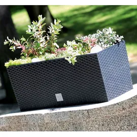 Prosperplast Rato Case 51,4 x 19 x 18,65 cm Anthrazit