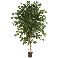 aplanta Künstlicher Ficus - Kim | 210 cm