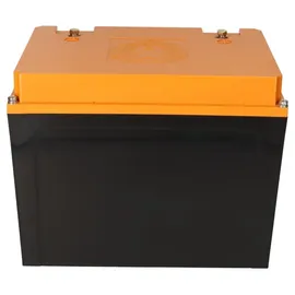 LIONTRON LiFePO4 Akku 12,8V 80Ah 1,024 kWh Victron Orion-Tr Smart 12/12-30A Ladebooster