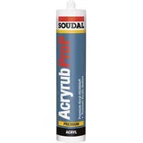 FP ACRYRUB P 310 ml weiß