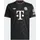 adidas FC Bayern München 25/26 BLACK/HALIVO, 3XL