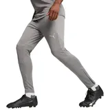 Puma teamFINAL Trainingshose Herren 13 cast iron/silver XL