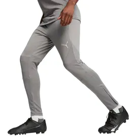 Puma teamFINAL Trainingshose Herren 13 cast iron/silver XL