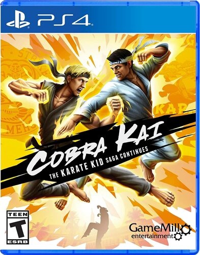 Cobra Kai 1 The Karate Kid Saga Continues - PS4 [US Version]