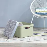 SUNWARE Aufbewahrungsbox Sigma Home 34,2 x 24,2 x 44,4 cm 1-tlg. hellgrün