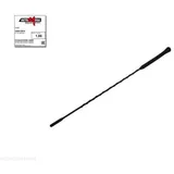 Automega Antenne 100013610
