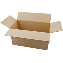 NESTLER 20 Stück Faltkartons 29/56/31,7 cm braun, 29x31.7x56 cm