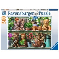 Ravensburger Katzen im Regal (14824)