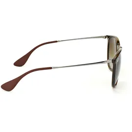 Ray-Ban Erika RB4171 710/T5 54-18 tortoise-gunmetal/brown gradient