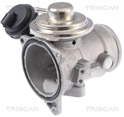TRISCAN AGR-Ventil 881329309 für VW
