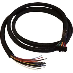 CradlePoint GPIO-Kabel - Molex, 20-polig, zweireihig bis ohne Stecker