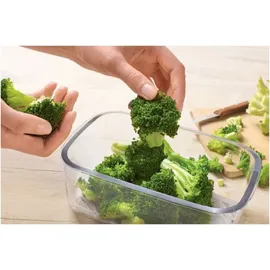 Bosch Vakuum-Frischhaltedosen grau 0,9 l, 1,2 l, 1,7 l