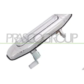 PRASCO Türgriff verchromt MB1558106