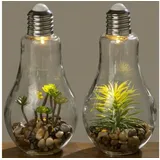 Boltze LED Tischleuchte mit Pflanze Glas 2 St.