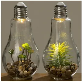 Boltze LED Tischleuchte mit Pflanze Glas 2 St.