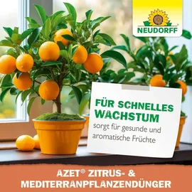 NEUDORFF Zitrus- & Mediterran PflanzenDünger 1 l