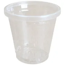 Braun & Company Schnapsglas 0,03 l 30 St.