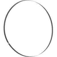 Holzmann Maschinen Bandsägeblatt 2950x6x0,4mm 6 ZPZ