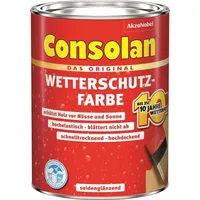 Consolan Wetterschutz-Farbe 2,5 l schwarz seidenglänzend