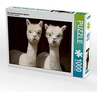 Calvendo Die Unzertrennlichen Alpakas 1000 Teile