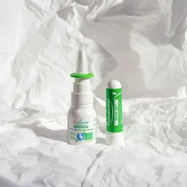 Puressentiel Atemwege Inhalator Mit 19 ätherischen Ölen Stick 1ml