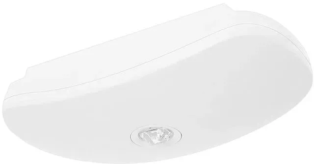 Fischer LED-Sicherheitsleuchte BSUE29I2