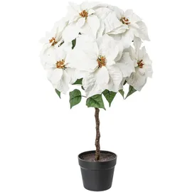 Creativ deco Winterliche Kunstpflanze Weihnachtsdeko Weihnachtsstern, Creativ deco, Höhe 75 cm, Samt-Ausführung weiß