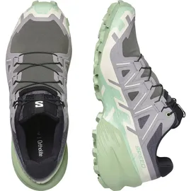 Salomon Speedcross 6 Damen Castle Rock/Vanilla Ice/Smoke Green 41 1/3