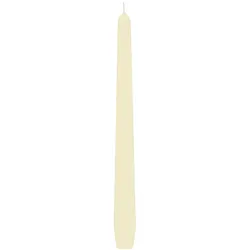 10x Spitzkerzen 245 mm 8 Stunden Brenndauer champagner